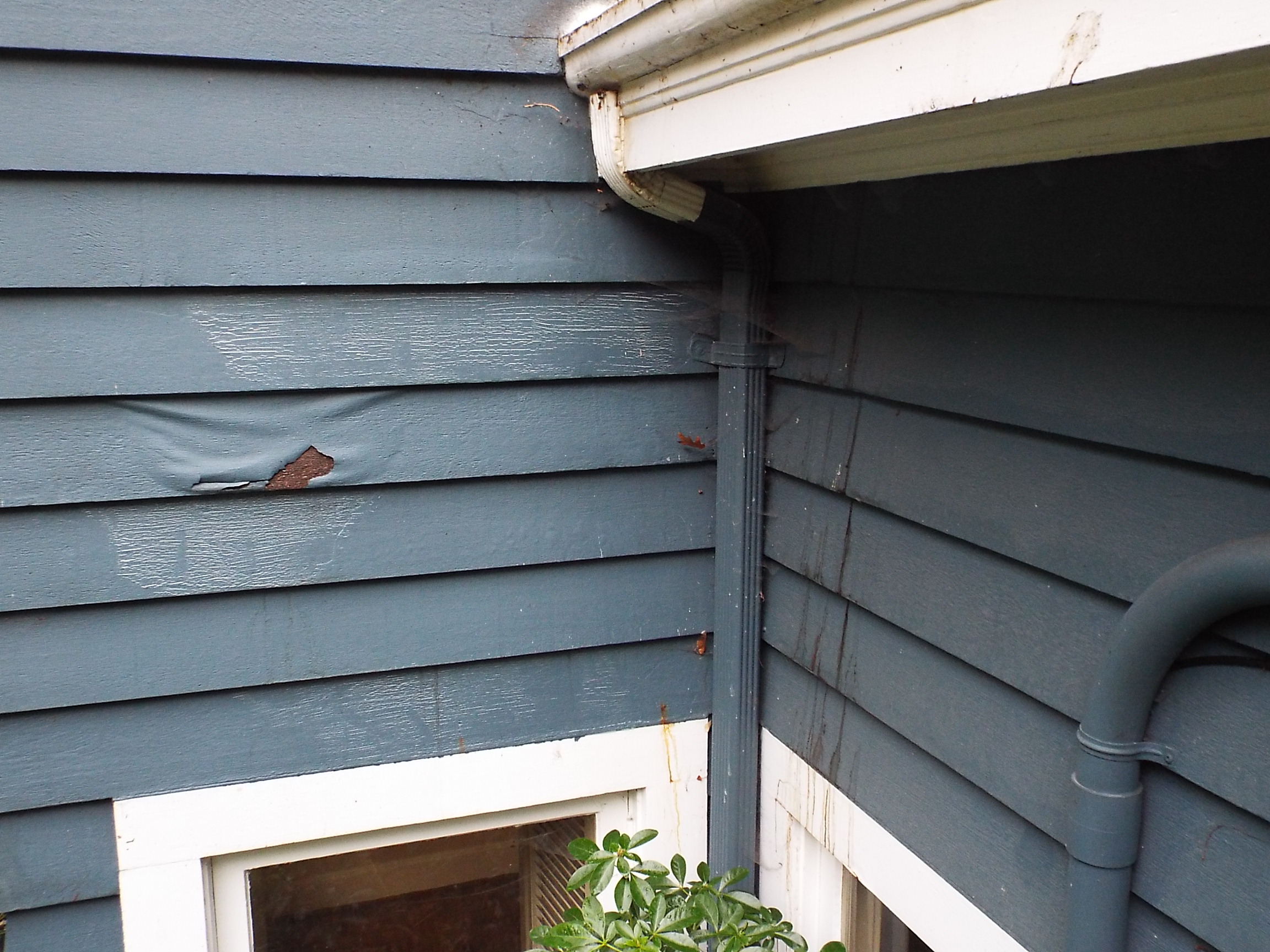 让你的网页更丝滑（一） 知乎 知乎专栏